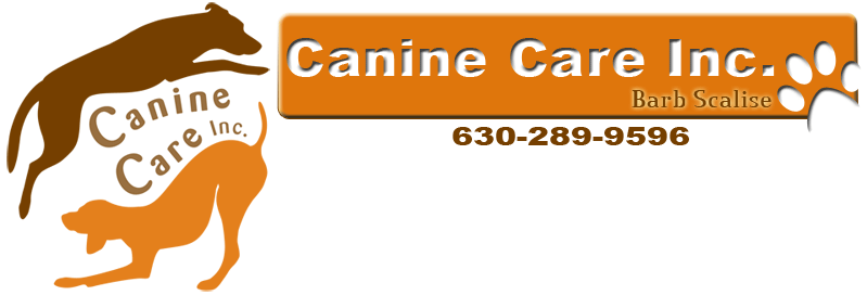 Home Page Logo