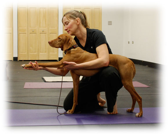 Doga